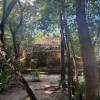 Cobá Accessible Jungle Tour