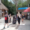 TOUR COBA ACCESIBLE 