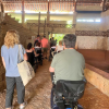 Xcaret Park Wheelchair Friendly Tour
