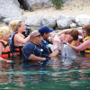NADO ACCESIBLE CON DELFINES 
