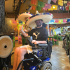 Wheeling tour La Quinta Av Playa del Carmen