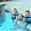 Accessible Dolphin Swimming Experience