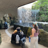 XCARET ACCESIBLE 