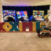 Tour Accesible Xoximilco - Una fiesta mexicana flotante 
