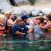 Tulum & Accessible Dolphin Adventure